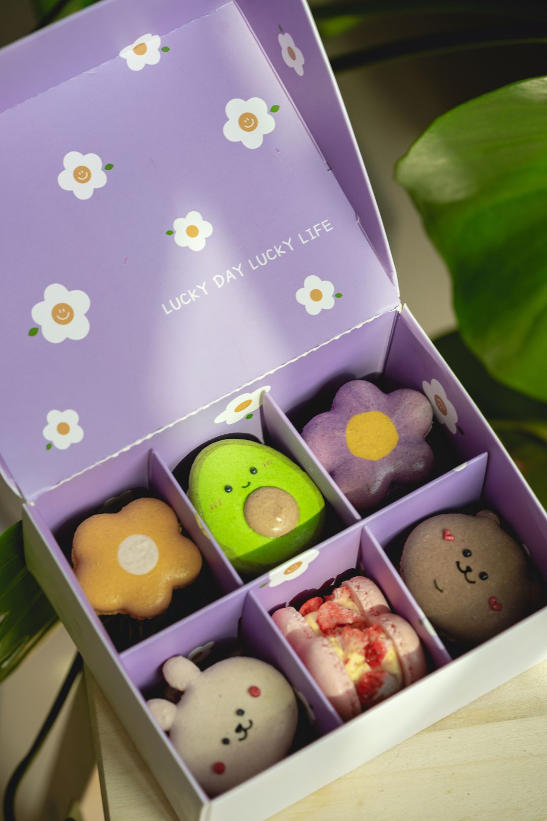 Learn to bake Korean Cute Character Macarons