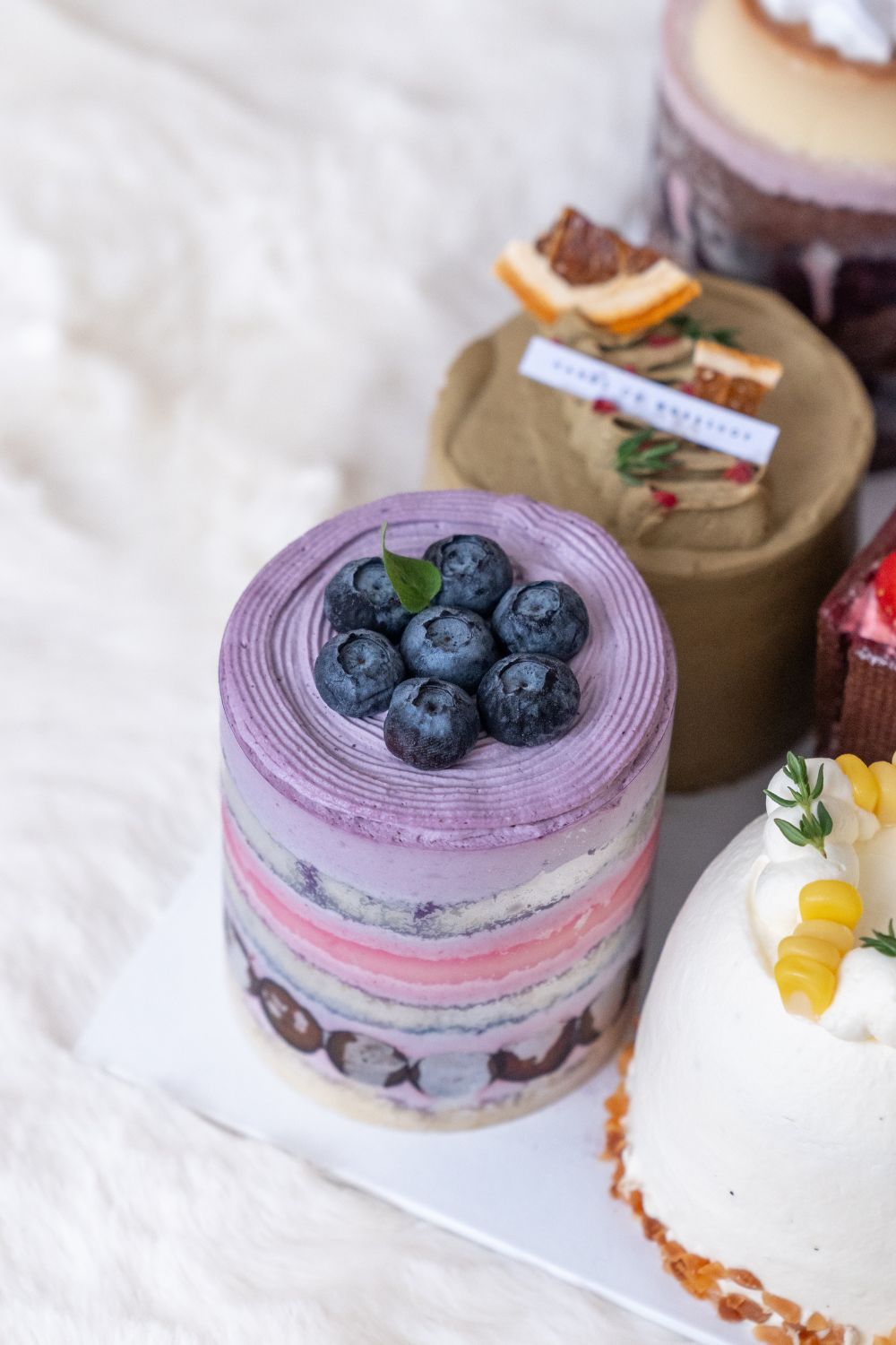 Petite Cakes 2.0 Baking & Decorating Workshop
